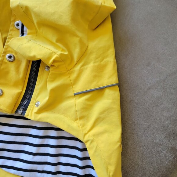Medium size Dog Raincoat - Picture 3 of 6